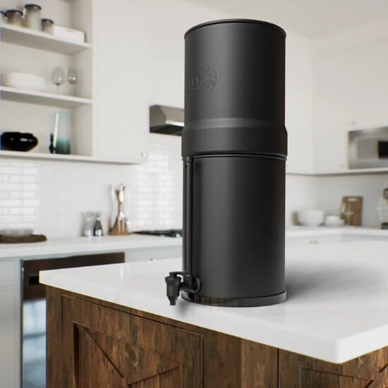 Filtre à eau Star Water Filter noir dans une cuisine